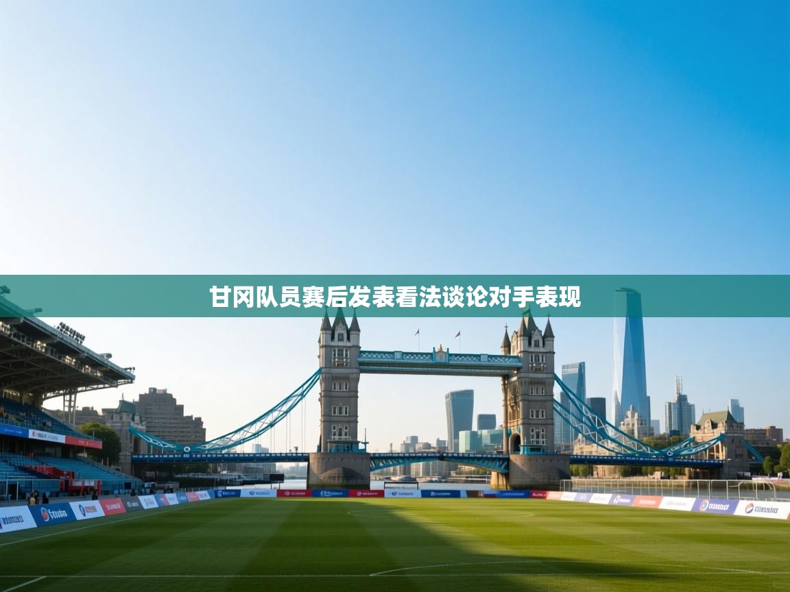 甘冈队员赛后发表看法谈论对手表现  第2张