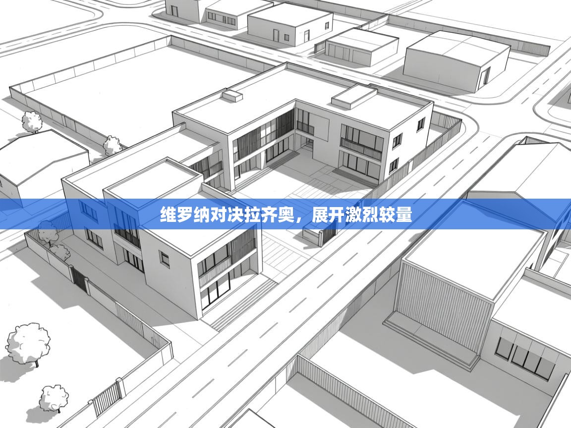 维罗纳对决拉齐奥，展开激烈较量  第2张